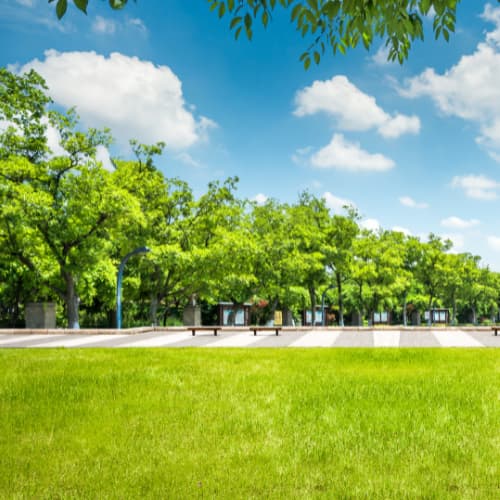 広場