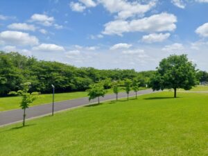 公園イベントの魅力を再発見！