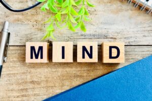 祭り出店場所探しの第一歩!準備と心構え