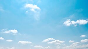 試食販売実施後の衛生管理：クリーンな状態を維持する