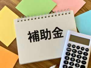 補助金・助成金の活用を検討する