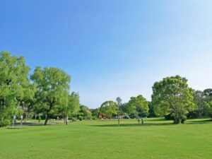 公園・レジャースポット（平日利用客も想定）